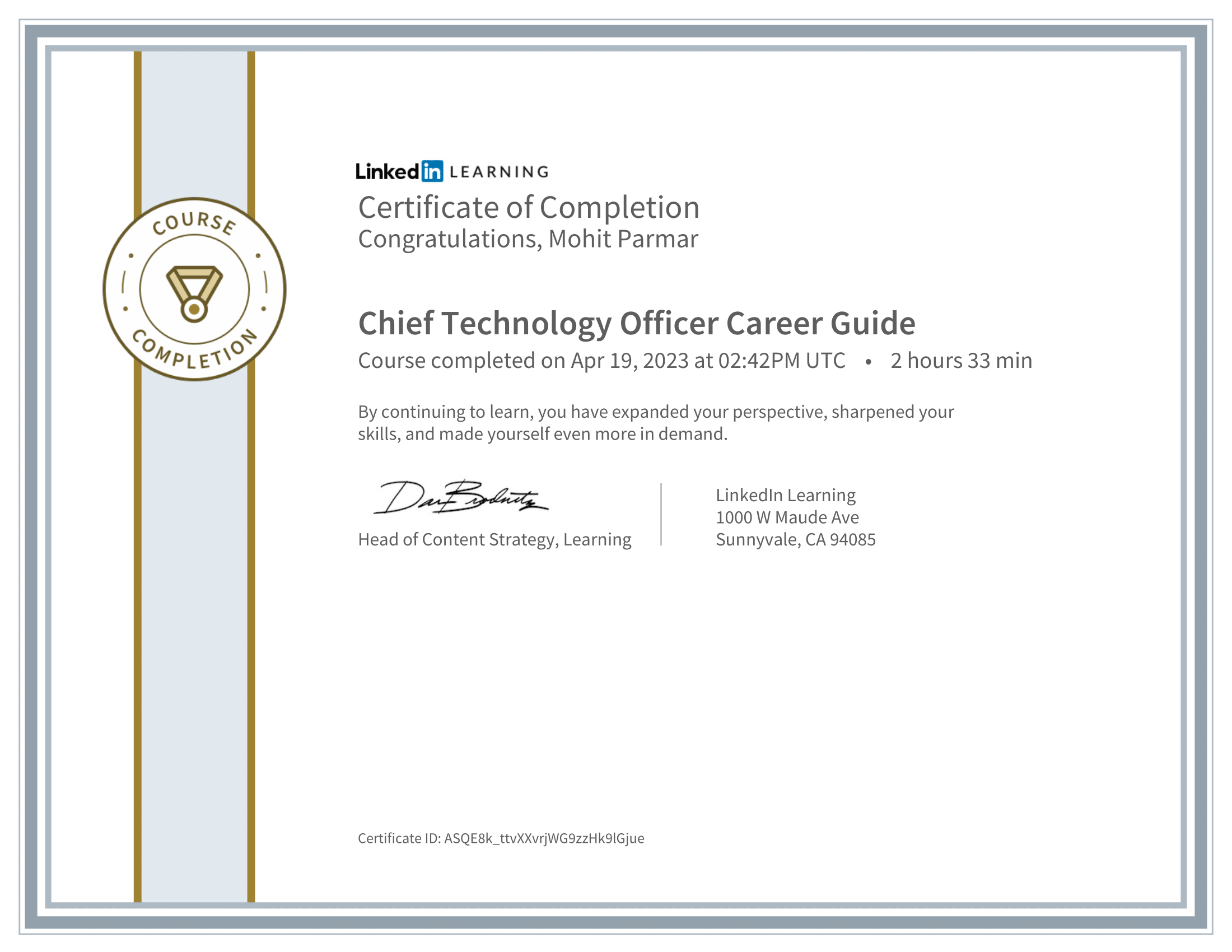 Chief Technology Officer Career Guide